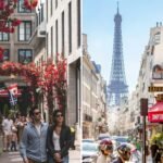 french tutor montreal french tutor
